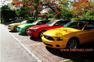 東營租車 東營汽車租賃 東營租車服務(wù) 東營租車公司,東營租車 東營汽車租賃 東營租車服務(wù) 東營租車公司生產(chǎn)廠家,東營租車 東營汽車租賃 東營租車服務(wù) 東營租車公司價(jià)格